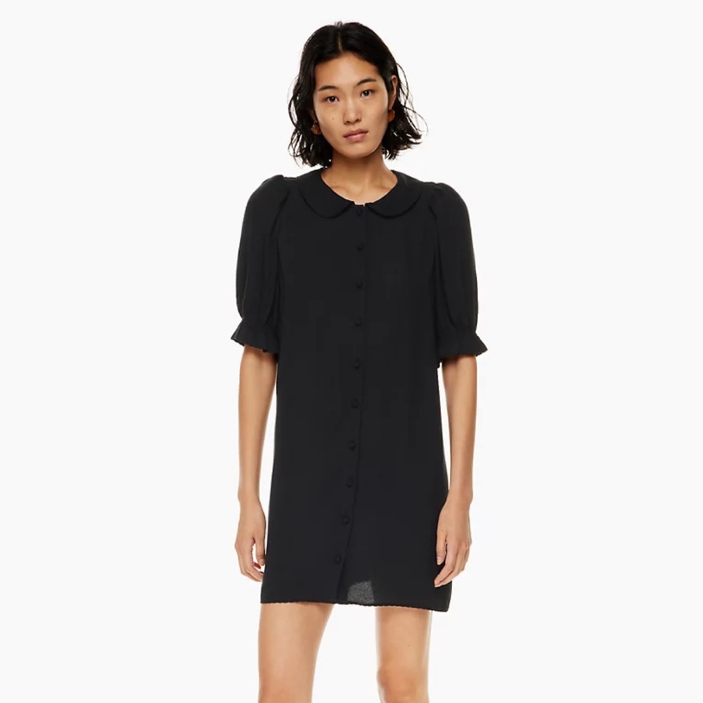 Aritzia Poppins Dress